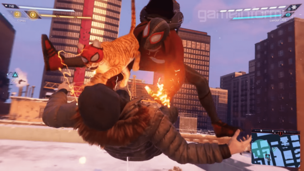 Spider-Cat Miles Morales