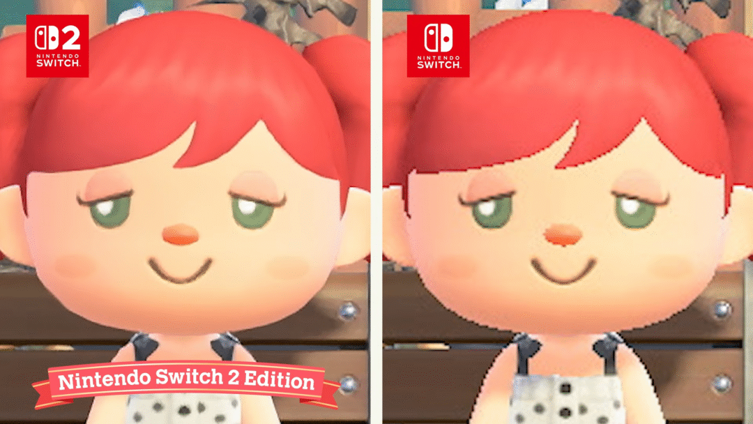 Animal Crossing New Hotizons NS2