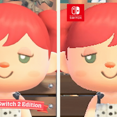 Animal Crossing New Hotizons NS2