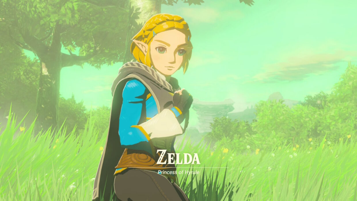 Hyrule Warriors: Age of Imprisonment door Koei Tecmo en Nintendo
