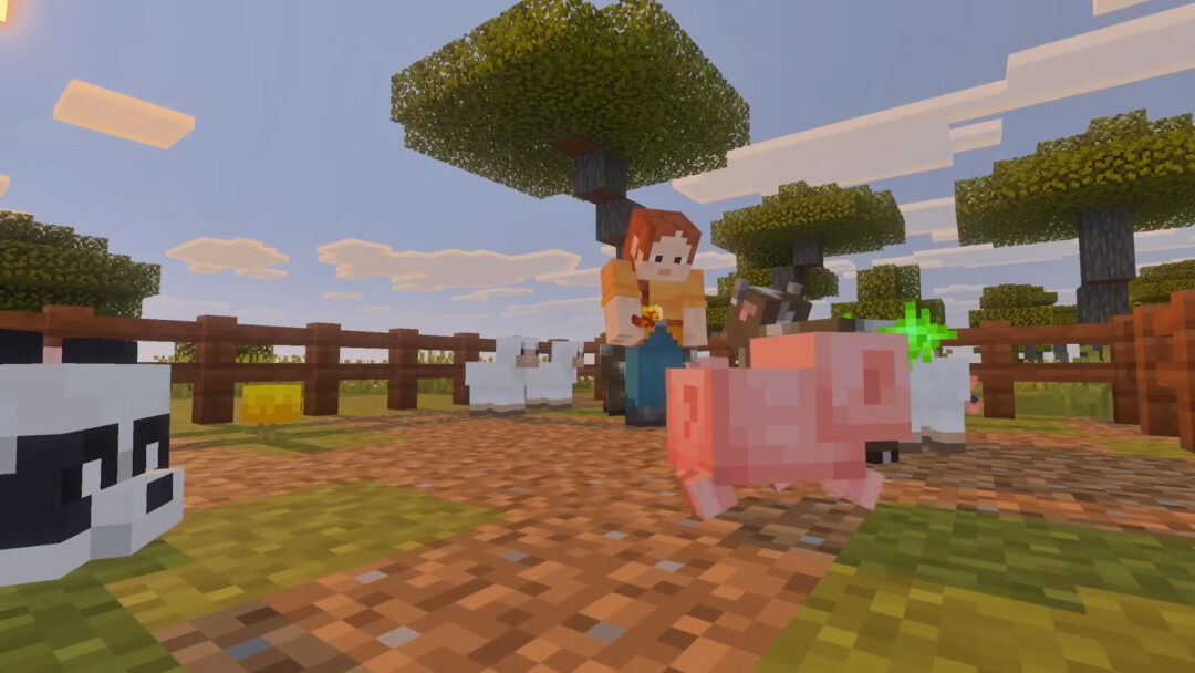 Minecraft voor Switch 2 door Mojang én Nintendo