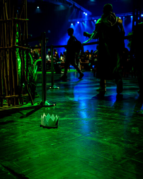 dropepd partyhat